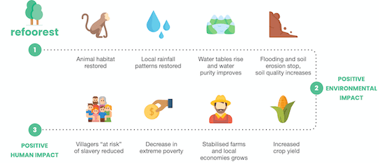 impact of tree planting